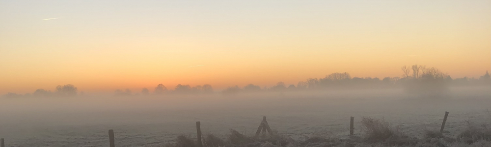 Benutzer-Bannerbild