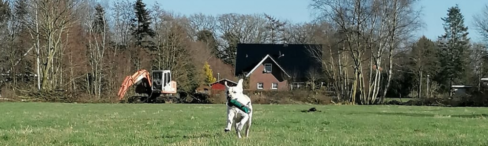 Benutzer-Bannerbild