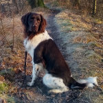 Benutzerprofilbild