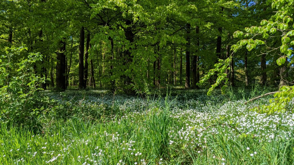 PXL_20220509_093508774