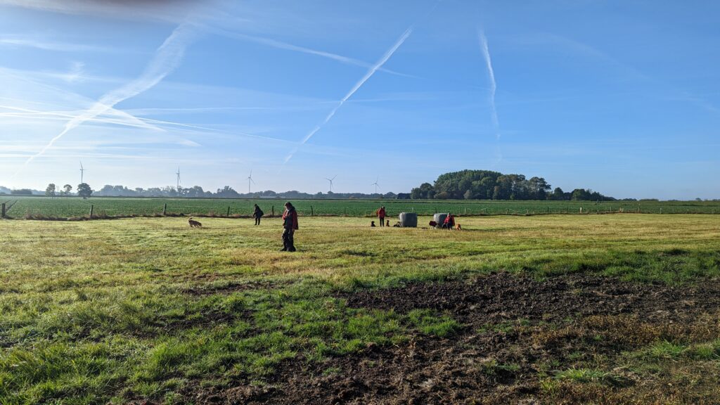 PXL_20221009_075503217