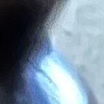 Benutzerprofilbild