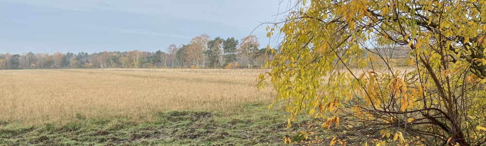 Benutzer-Bannerbild