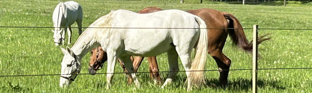 Benutzer-Bannerbild