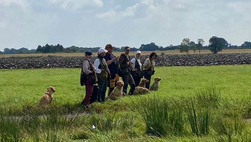 2026 01 20 12 25 37 WhatsApp